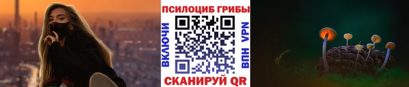Галлюциногенные грибы Cubensis  Купить  Ардатов 